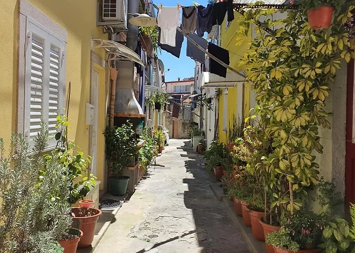 Typical House In A Historical Pedestrian Quarter * 波尔图